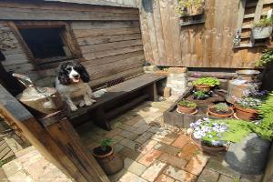 Chill area of shed of shed - Hidey Hole, South Yorkshire